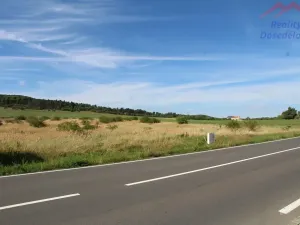 Prodej komerčního pozemku, Cerhovice, Plzeňská, 9984 m2