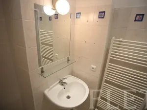 Pronájem bytu 1+1, Praha - Žižkov, Chelčického, 50 m2