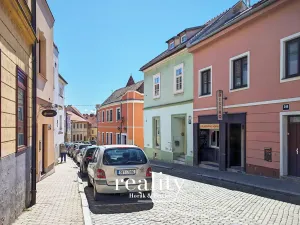 Prodej činžovního domu, Znojmo, Dolní Česká, 429 m2