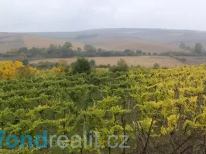 Prodej pozemku, Morkůvky, 4541 m2