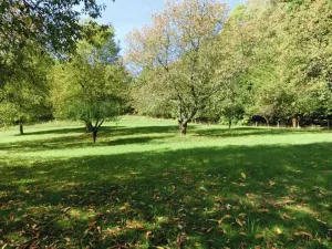 Prodej rodinného domu, Vojkovice, 175 m2