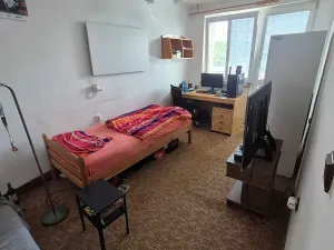Prodej bytu 3+1, Nová Ves pod Pleší, 77 m2