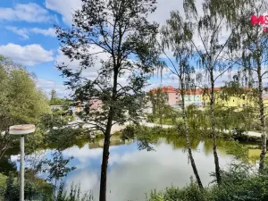 Prodej bytu 2+kk, Velešín, Sídliště, 42 m2