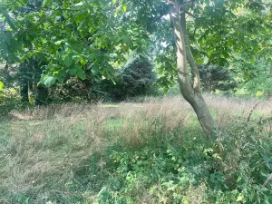 Dražba činžovního domu, Komorní Lhotka, 1000 m2