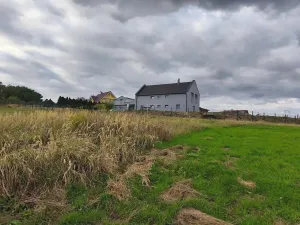 Prodej louky, Stará Huť, 3629 m2