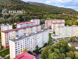 Prodej bytu 1+1, Krupka, Karla Čapka, 36 m2