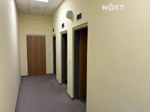 Pronájem ordinace, Mělník, Nová, 42 m2