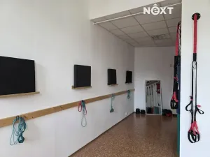 Pronájem ordinace, Mělník, Nová, 42 m2