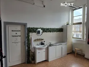 Pronájem ordinace, Mělník, Nová, 42 m2