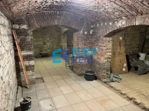 Pronájem - jiné, Praha - Vinohrady, Máchova, 61 m2