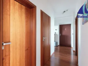 Prodej bytu 3+kk, Brandýs nad Labem-Stará Boleslav, U Vodojemu, 102 m2