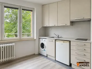 Pronájem bytu 1+kk, Havířov, Marušky Kudeříkové, 22 m2