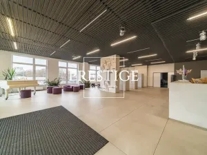 Prodej bytu 2+kk, Praha - Vysočany, Freyova, 43 m2