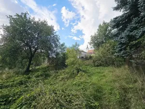 Prodej pozemku pro bydlení, Dolní Loučky, 570 m2