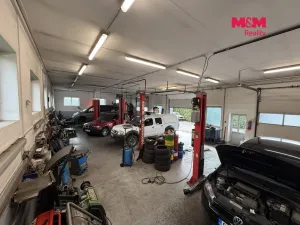 Prodej obchodního prostoru, Týn nad Vltavou, Veselská, 252 m2
