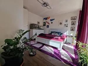 Prodej rodinného domu, Radostice, Pod Sirotkem, 235 m2