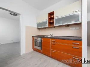 Pronájem bytu 1+1, Hodkovice nad Mohelkou, Podlesí, 40 m2