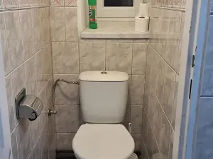 Prodej rodinného domu, Velký Bor, 250 m2