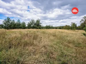 Prodej pozemku pro bydlení, Sadov, 3921 m2