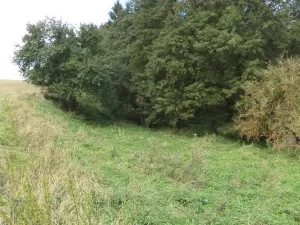 Prodej pole, Tachov, 58887 m2