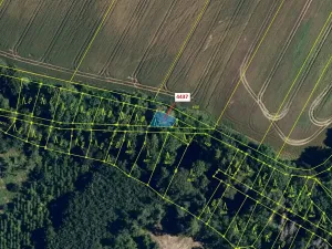 Dražba lesa, Lukovany, 110 m2