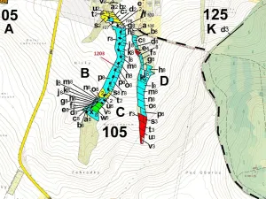 Dražba lesa, Babice u Rosic, 359 m2
