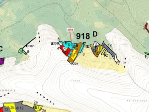 Dražba lesa, Deblín, 1757 m2
