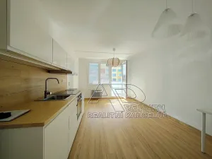 Pronájem bytu 1+1, České Budějovice, Budivojova, 49 m2