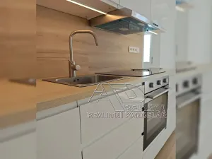 Pronájem bytu 1+1, České Budějovice, Budivojova, 49 m2