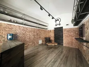 Pronájem obchodního prostoru, Praha - Nové Město, V jámě, 26 m2