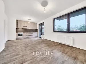 Pronájem bytu 1+kk, Jihlava, Vrchlického, 32 m2