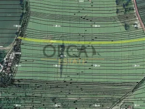 Prodej pole, Moravany, 575 m2
