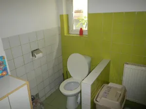 Dražba rodinného domu, Mrzky, 190 m2