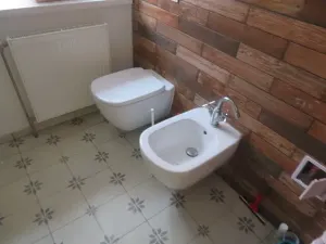 Dražba rodinného domu, Jílovice, 20 m2