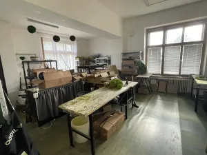 Pronájem kanceláře, Pardubice, generála Svobody, 104 m2