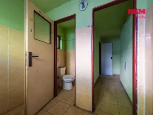 Prodej obchodního prostoru, Nová Ves - Vepřek, 600 m2