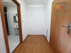 Pronájem bytu 1+kk, Prostějov, Aloise Krále, 43 m2