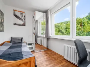 Prodej bytu 3+1, Ústí nad Labem - Severní Terasa, Šumavská, 64 m2