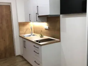 Pronájem bytu 1+kk, Zlín, Vejvanovská, 20 m2