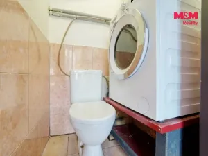 Prodej obchodního prostoru, Dolní Lukavice - Krasavce, 116 m2