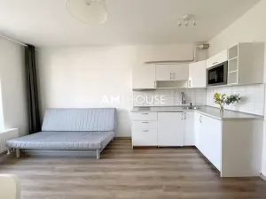 Pronájem bytu 1+kk, Praha - Malešice, Nad úžlabinou, 28 m2