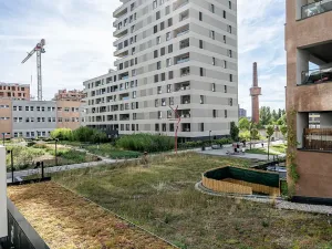 Pronájem bytu 2+kk, Praha - Vysočany, Fafkových, 54 m2