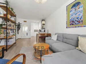 Prodej bytu 2+kk, Praha - Libeň, Braunerova, 54 m2