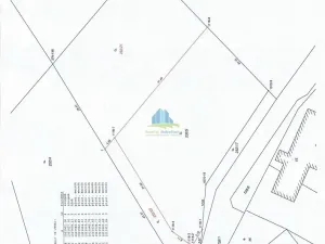 Prodej zahrady, Františkovy Lázně - Horní Lomany, Horní, 1302 m2
