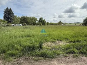 Prodej zahrady, Františkovy Lázně - Horní Lomany, Horní, 1302 m2