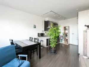 Prodej bytu 2+kk, Praha - Nusle, Družstevní ochoz, 51 m2
