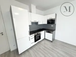 Pronájem bytu 2+kk, České Budějovice, Klaricova, 48 m2