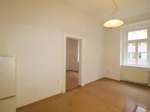 Pronájem bytu 1+1, Praha - Vinohrady, Mánesova, 40 m2