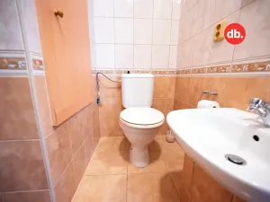 Pronájem bytu 3+1, Nová Role, Svobodova, 72 m2