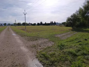 Dražba pole, Vrbice, 9030 m2